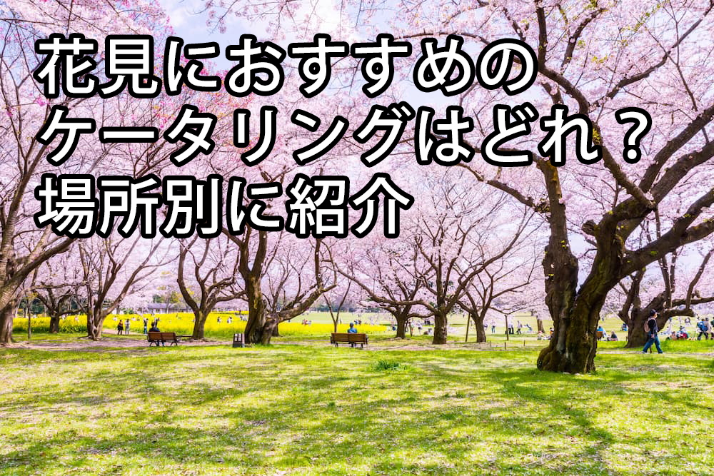 花見におすすめのケータリングはどれ?場所別に紹介