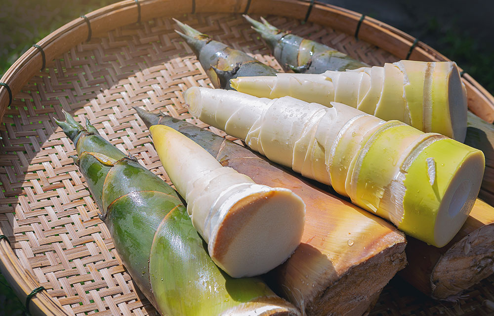 立夏の時期に旬を迎える食べ物