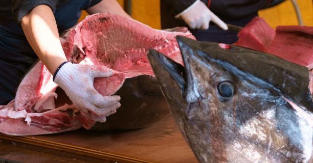 演出例：マグロ解体ショーなどの実演料理